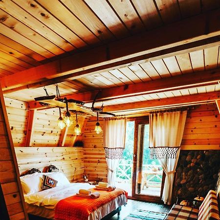 Purkinora Bungalov Çamlıhemşin Exterior foto