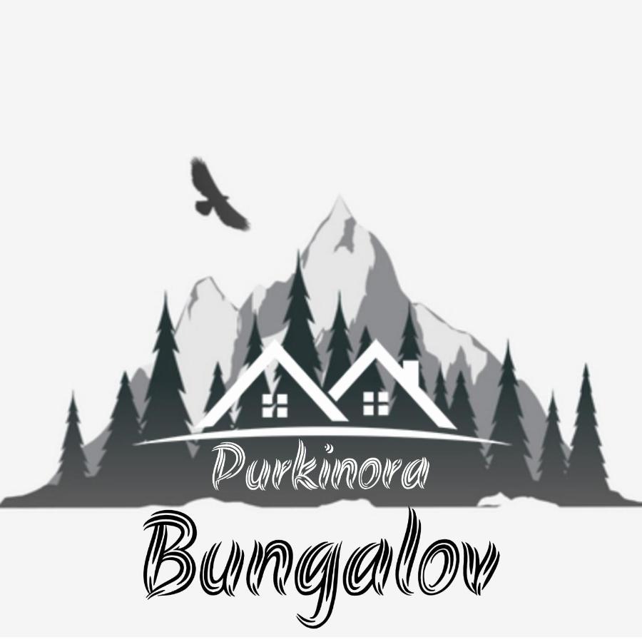 Purkinora Bungalov Çamlıhemşin Exterior foto