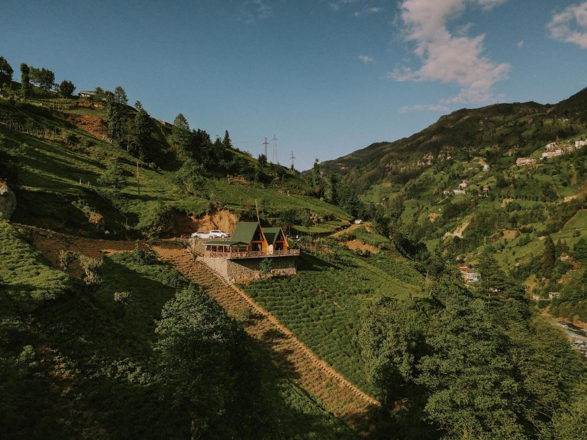 Purkinora Bungalov Çamlıhemşin Exterior foto